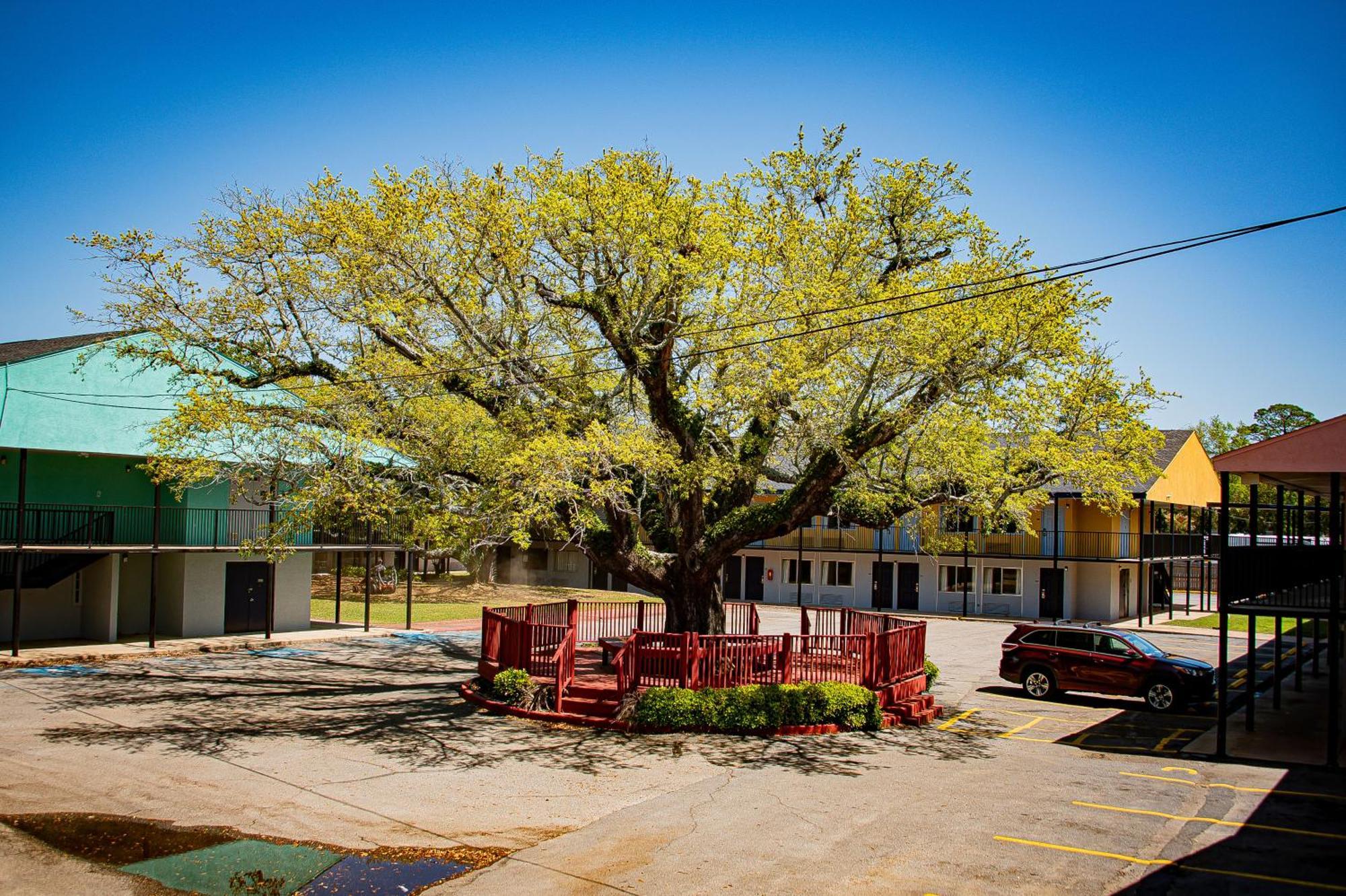 Super 8 By Wyndham Biloxi Motel Екстериор снимка